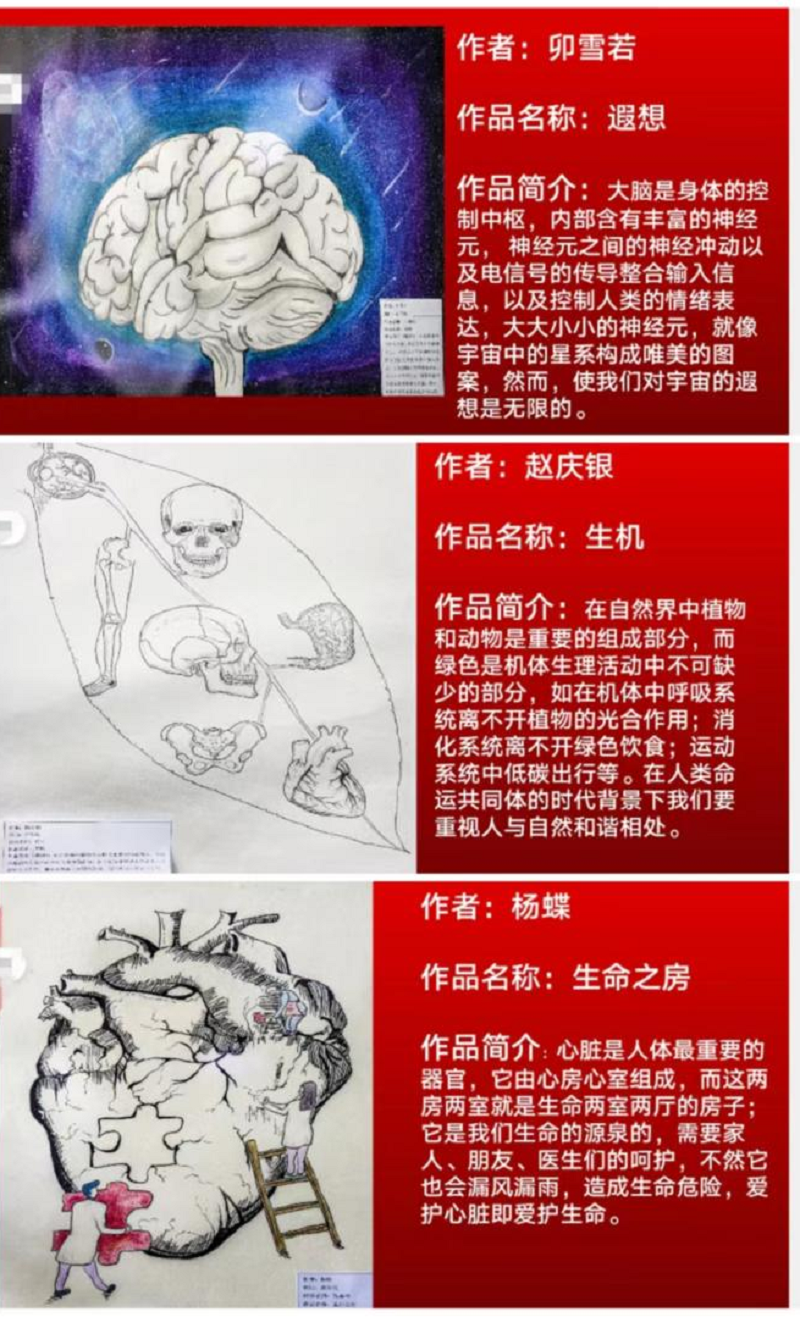 弘扬解剖文化 推动医学科普 ——我院召开第一届人体解剖绘图大赛表彰大会暨 2022年职业教育活动周总结会(图5)